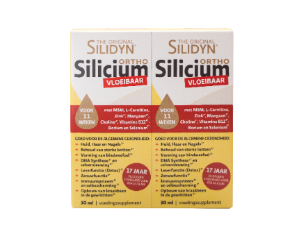 Silidyn Silidyn