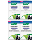 A. Vogel Oogtabletten 60 tabletten voordeelpak  4x 60 tabletten