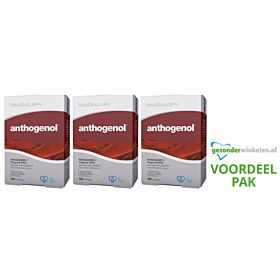Masquelier's Anthogenol trio-pak 3x 120 capsules