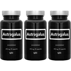 Apb holland Astragalus Voordeelpak  3x 90 capsules (270 capsules)