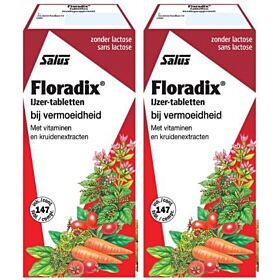 Floradix Ijzer tabletten