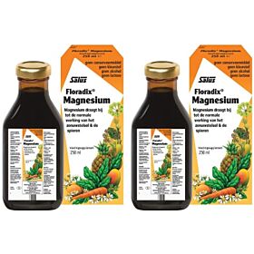 Salus Floradix Magnesium Elixer Duo-pak  2x 250ml