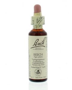 Beech / beuk