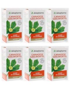 Arkocaps Canadese Geelwortel 6-pak voordeelpak 6x45 capsules Arkopharma