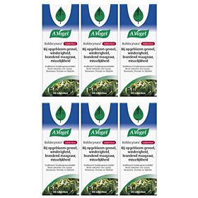 A. Vogel Boldocynara 80 tabletten Zespak Voordeel 6x 80 tabletten