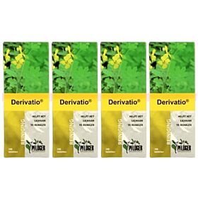Pfluger Derivatio voordeelpak  4x 100 dragees