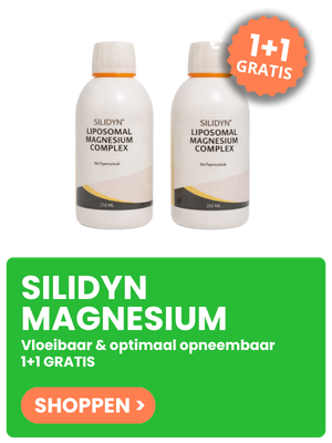 Silidyn Homepage