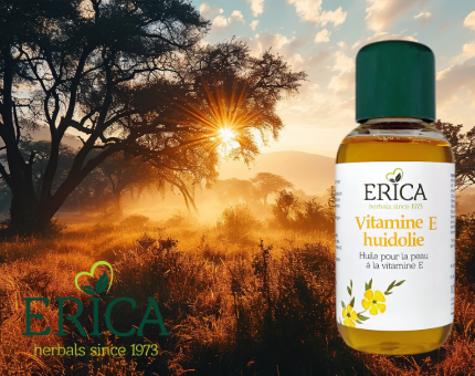Banner Erica Huidolie