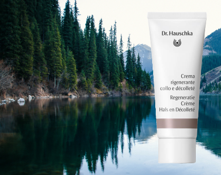 Banner Hauschka Merk 1